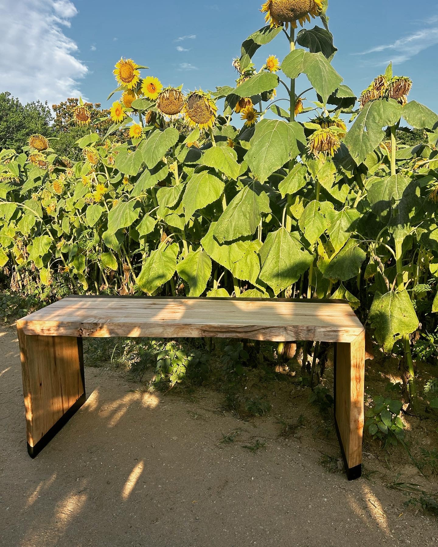 Live Edge Maple Bench