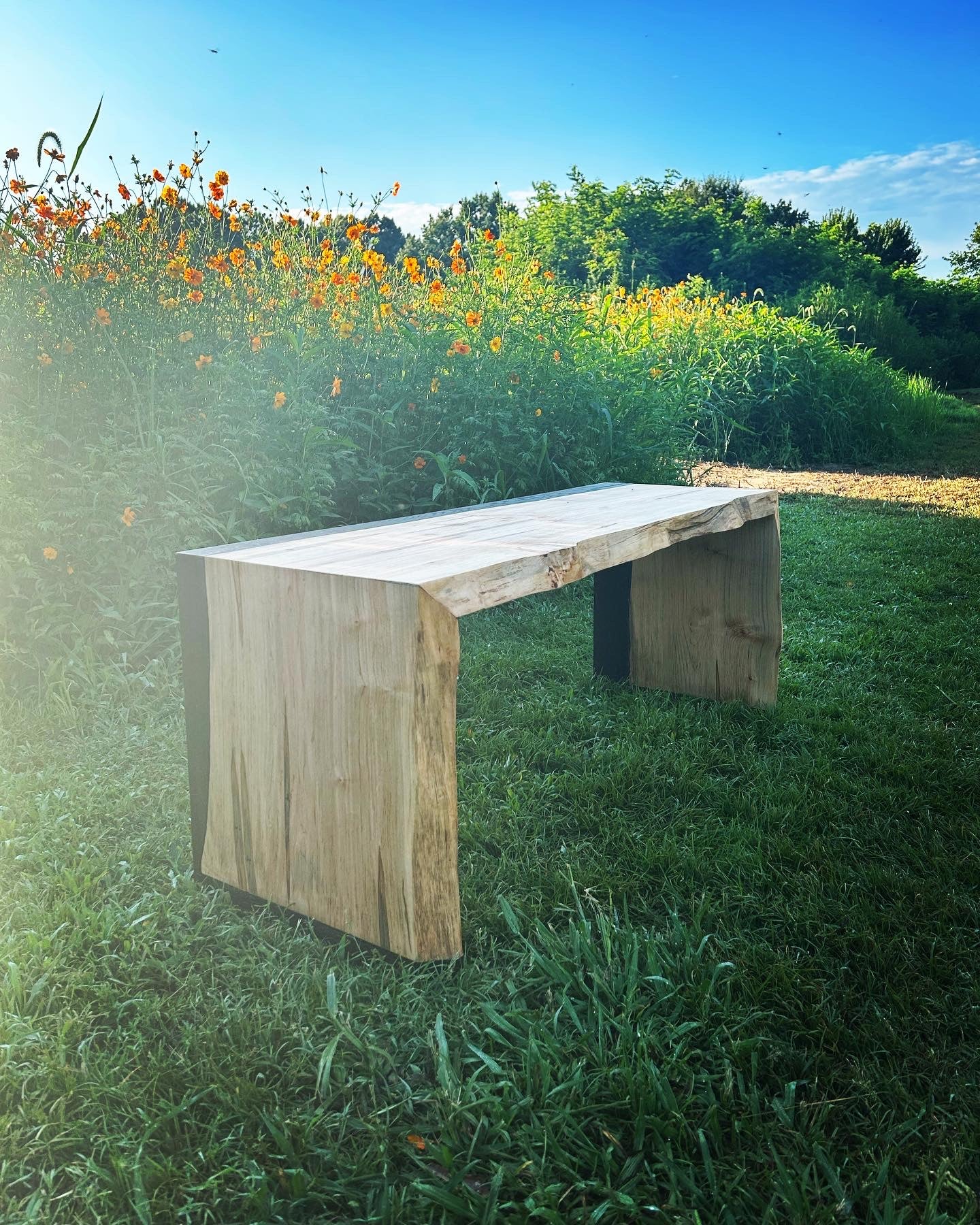 Live Edge Maple Bench